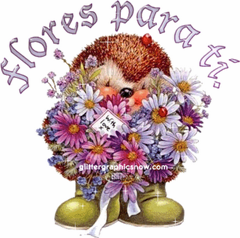 flores_45