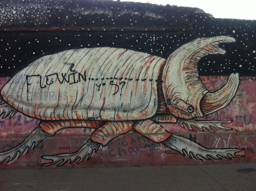 Graffitti Escarabajo Gigante