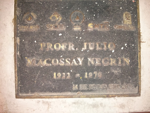 Julio Maccosay Negrin