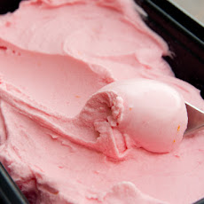 Blood Orange Sherbet