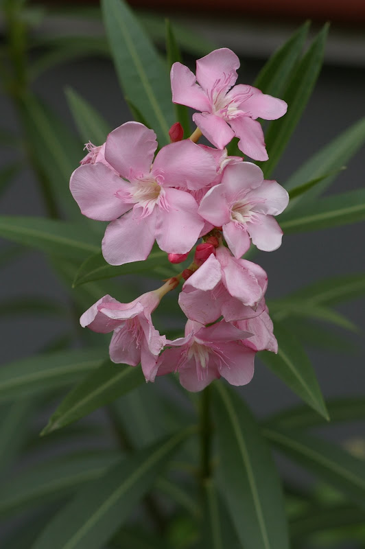 ISO 200 F4.5