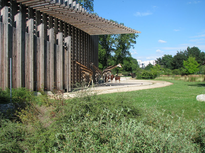 Animaux au Parc de la Tête d'Or