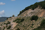 IMG_1757.JPG