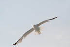 IMG_5641.JPG