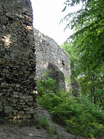 [DSC005142.jpg]
