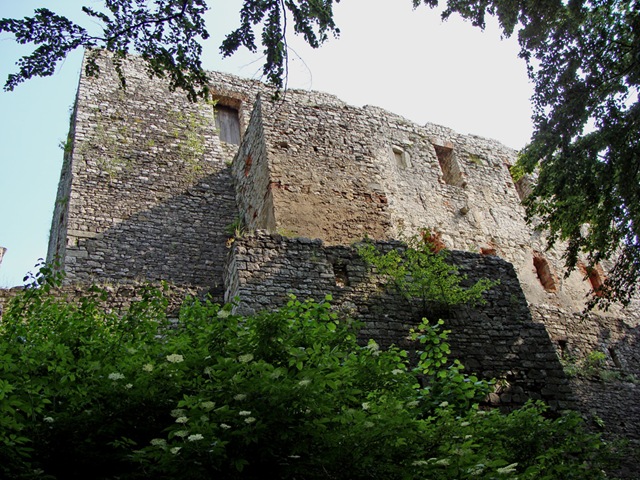 [DSC005092.jpg]