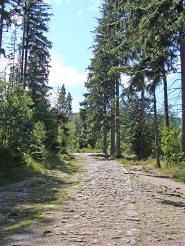 [Karpacz0872.jpg]