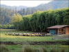 Rancho Amanalco Valle De Bravo