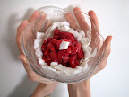 Slightly dehydrated strawberries and a drizzle of agave on a bed of young coconut meat = breakfast