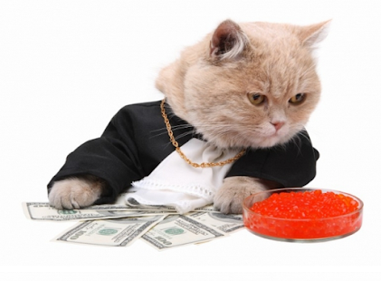 How to mod KITTEN LOVERS lastet apk for android