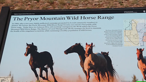 Pryor Mountain Wildhorse Range