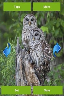 How to get Owls Wallpapers patch 2.0.0 apk for laptop
