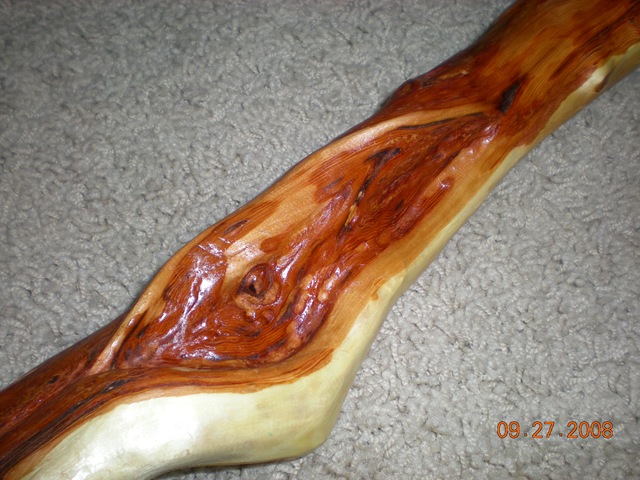 [walking stick 035[2].jpg]