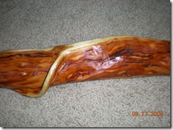 walking stick 036