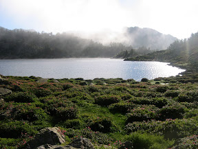 IMG_3608.JPG
