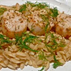 Fennel And Orzo With Dayboat Scallops