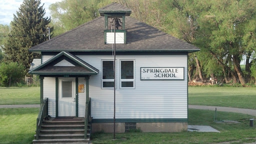 Springdale School