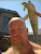 User profile picture thumbnail