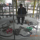 man with poisonous snake