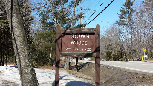 Brown Woods