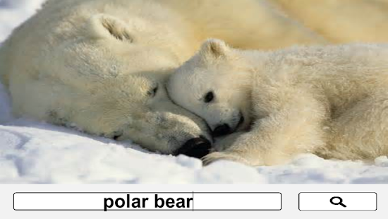 How to mod PICZAP - Simple Image Searcher patch 1.7 apk for android