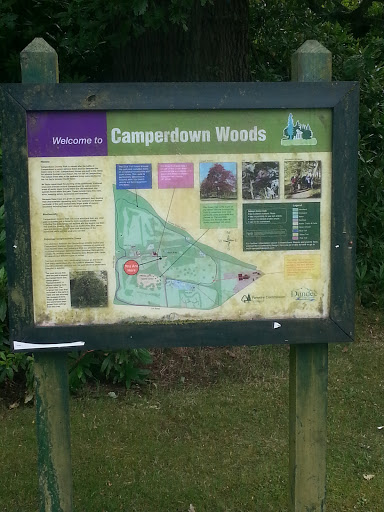 Camperdown Woods