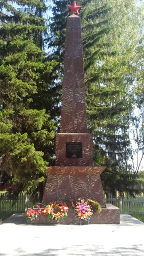 Памятник  войнам ВОВ С.Бобровка