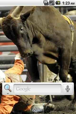 Bull Riding Live Wallpaper