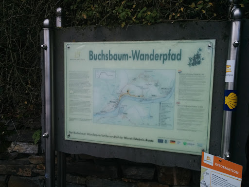 Buchsbaum Wanderpfad