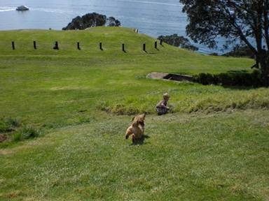 [clip_image016[3].jpg]