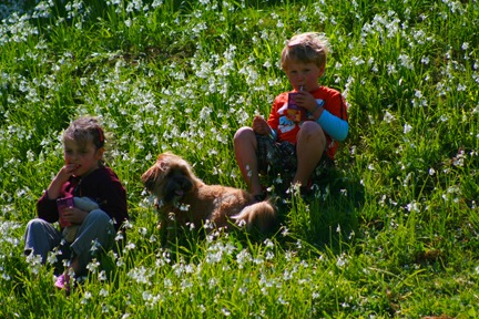 [September 460[6].jpg]