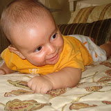February & March 2008