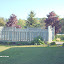 Flowerlady's Frontyard garden