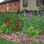 Flowers%20046