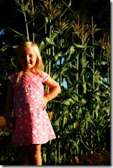 2008 07 16 009 copy