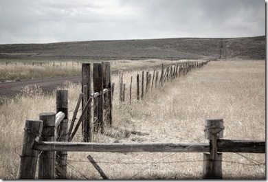 fenceatkilgore