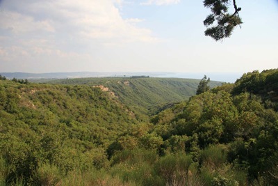 IMG_6363 - resized