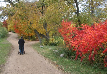 [orchardstroller[4].jpg]