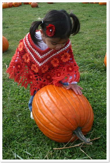 orchardtouchingpumpkin