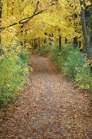 [orchardtrail[4].jpg]