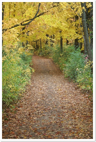orchardtrail