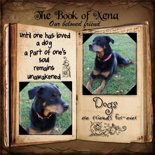 [Xena-Jazz-wordart-000-Page-1[3].jpg]