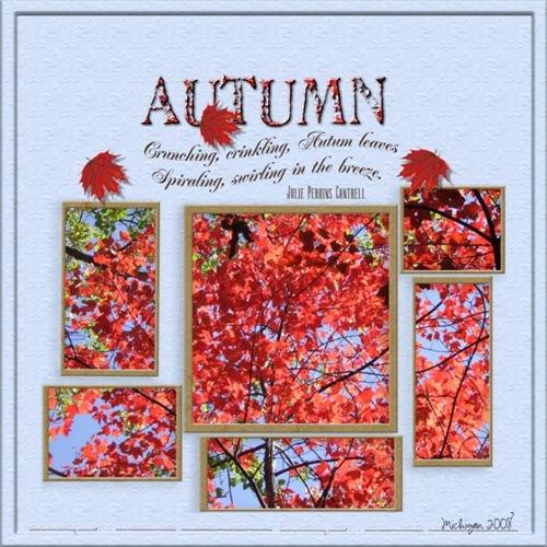 [Michigan-2008-000-Autumn-Leaves[3].jpg]