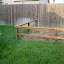 mzbees's Vegetable garden