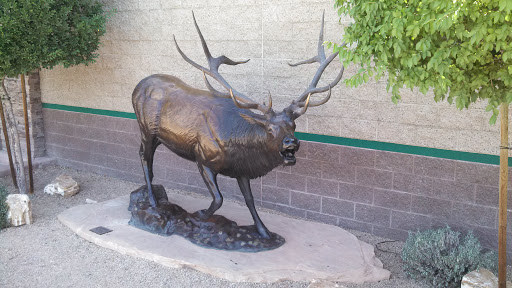 Elk Statue at Sportsman