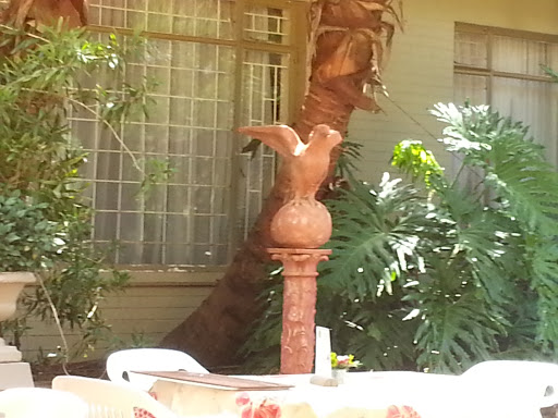 Tea Garden Eagle 