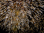Fireworks everywhere