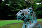 panther statue 02 in Shizen Kyoiku Park