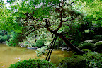 Tree support in Shizen Kyoiku Park