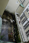 Only the lower part of the hotel had any mold and moss